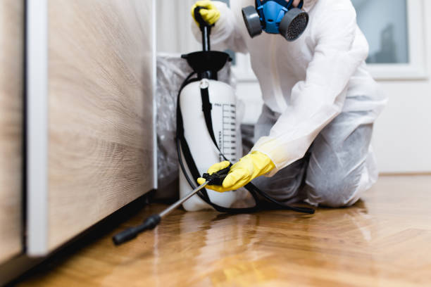 Best Mosquito Control Services  in Winston, OR