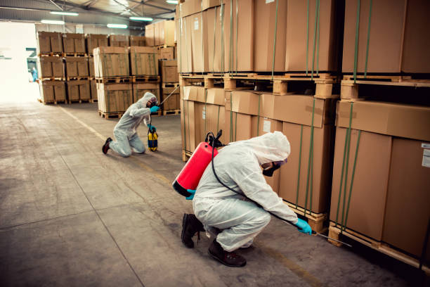 Best Ant Control Services  in Winston, OR