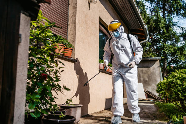 Best Rat Extermination Near Me  in Winston, OR
