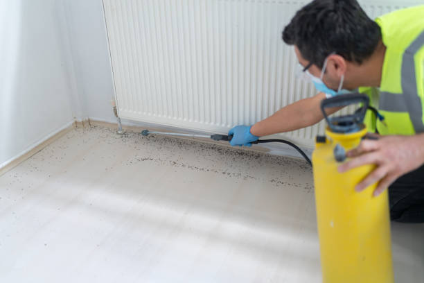 Best Best Pest Control Companies  in Winston, OR